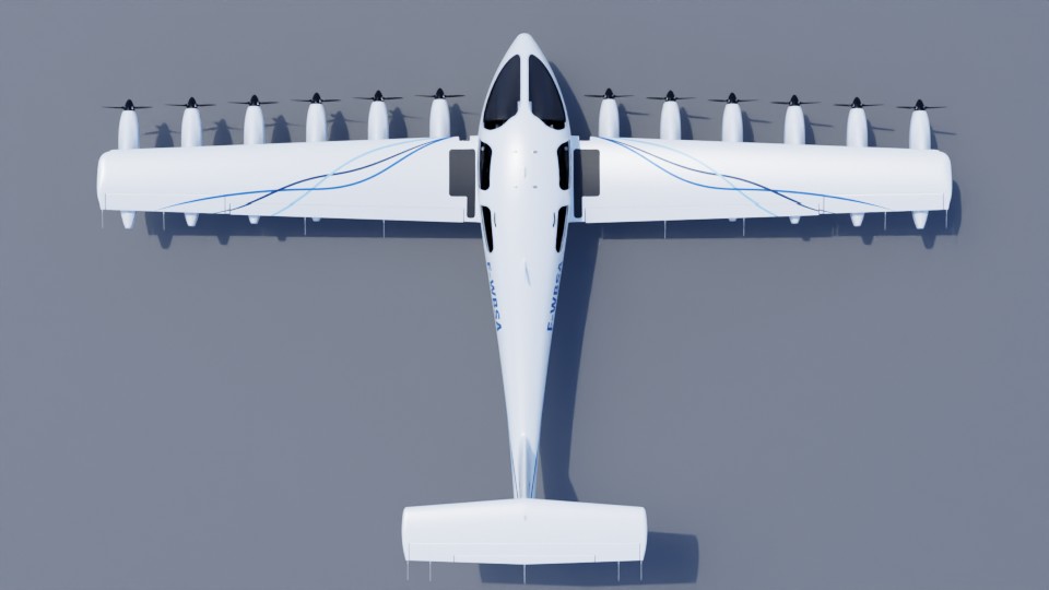 Dragonfly seen from above — dimensions